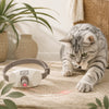 LumiPaw | Collar Interactivo Láser para Gatos