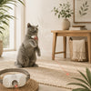 LumiPaw | Collar Interactivo Láser para Gatos